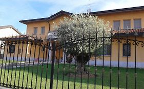 B&B One M